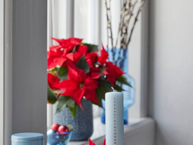 Poinsettia 03000 Country Chic in Blue